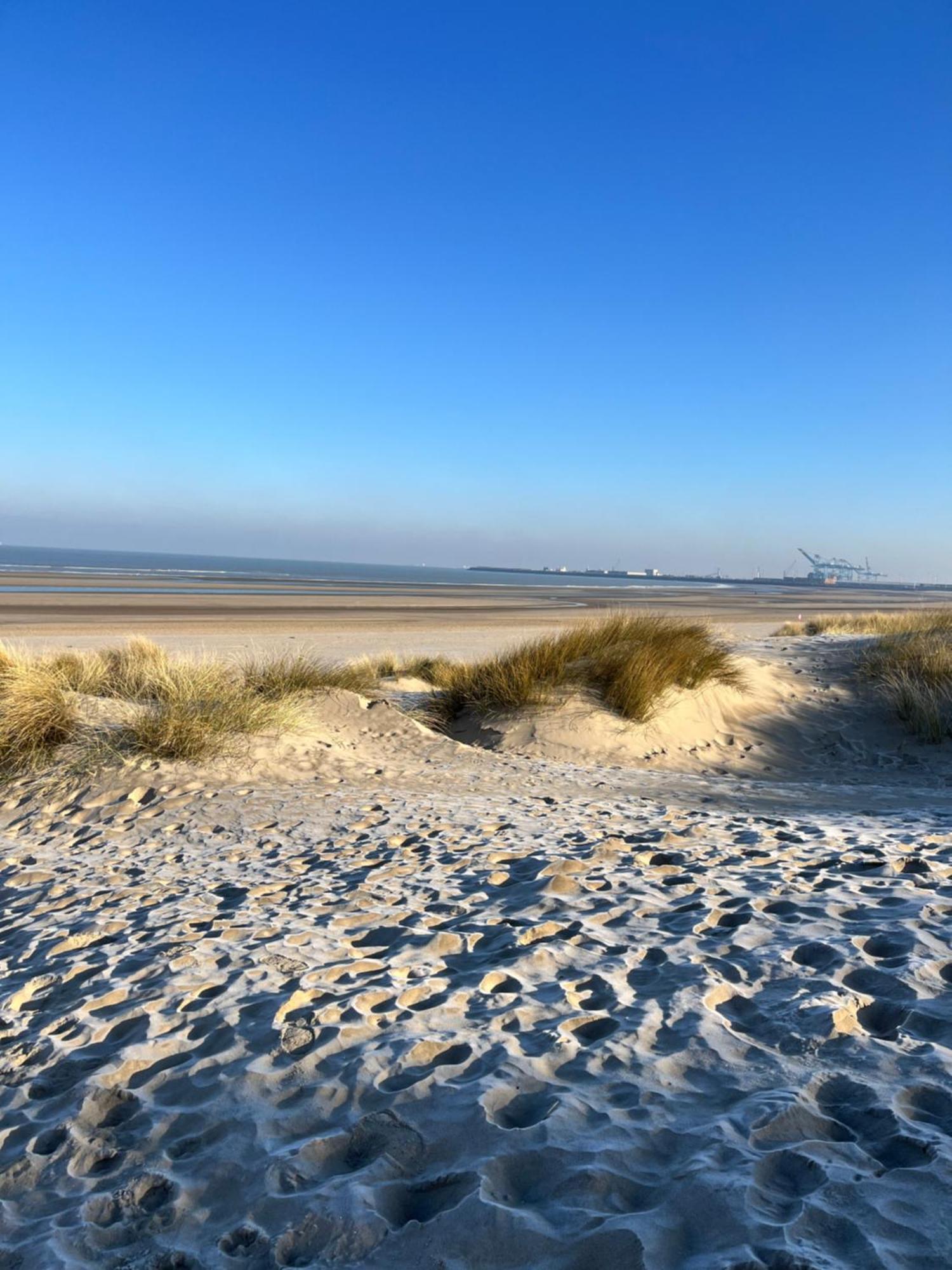 Dune Du Clemot Blankenberge Exterior photo